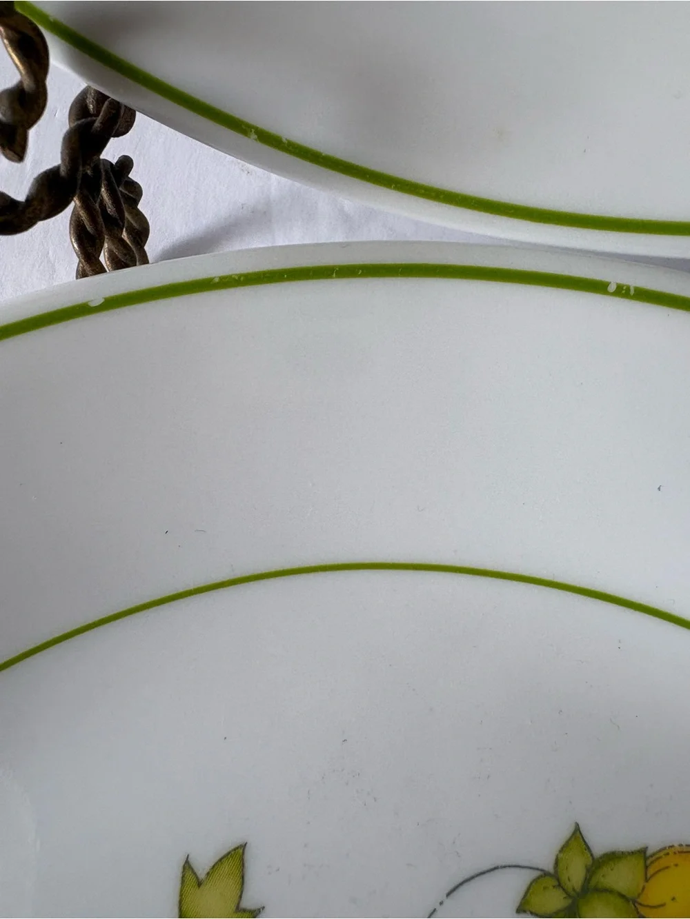Corelle Spring Meadow Floral Dinner Plates 10.25” set of 2